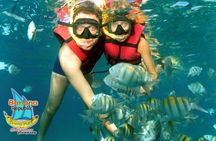 Catalina Island/DIVING and Sailboat Adventure 