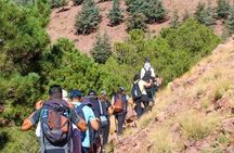 From Marrakech:Atlas Mountains Talamrout summit half day hike 