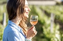 Dinner at a Winery on the Slopes of Mount Vesuvius