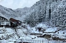 Nagano Snow Monkey Private Full-Day Tour