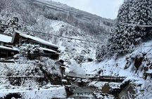Nagano Snow Monkey Private Full-Day Tour