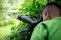 Sloth tour and Wildlife Encounter