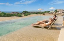 ATVs UTVs and Camel ride in All Access Adventure Park and Beach