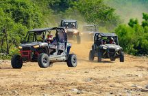 ATVs UTVs and Camel ride in All Access Adventure Park and Beach