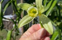 Maui Vanilla Farm Private Tour 