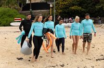 Open Group Snorkelling Experience