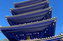 Osaka Private Art and Meditate Class Activity Takarazuka