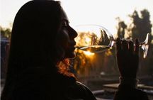 Concha y Toro Wine Center Tour