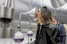 Concha y Toro Wine Center Tour