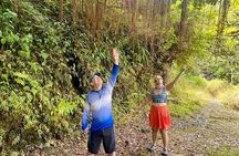 Private Road to Hana - Waterfalls, Red Sand & Hidden Gems