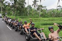 Ubud Jungle Cart Adventure + Volcano view Tour.