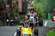 Ubud Jungle Cart Adventure + Volcano view Tour.