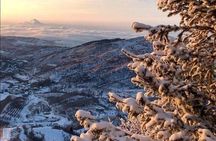 Charyn Canyon and Kolsai Lake Day Adventure from Almaty