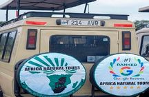 The Most Affordable 2-Day Tanzania Safari: Top safari in Tanzania