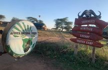  Discover Our Best 4 Day Serengeti Migration Safari From Mwanza