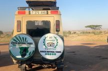 Discover the World's Latest Updates on 2 day Tanzania Safari Tour