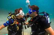 Dubai Jumeirah Scuba Dive Guided Underwater Adventure