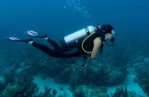 Dubai Jumeirah Scuba Dive Guided Underwater Adventure