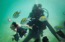 Dubai Jumeirah Scuba Dive Guided Underwater Adventure