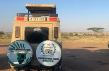 The Most Affordable 2-Day Tanzania Safari: Top safari in Tanzania