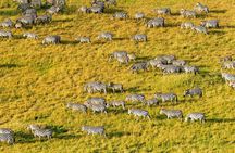 5-Day Spirit of Tanzania Safari