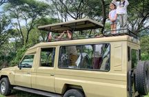 Discover the World's Latest Updates on 2 day Tanzania Safari Tour