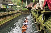 Bali Private Car Charter with English Speaking Driver