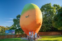  Bowen Beaches Discovery-Top of the Whitsundays