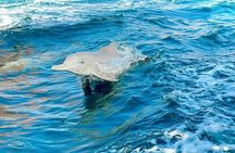 Explore Khasab Musandam Full Day Dhow Cruise Adventure