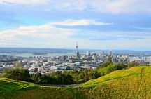 Guided Auckland Highlights Half Day City Tour