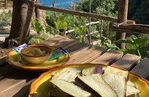 Tasting on the Path of the Lemons with Tour in the Lemon grove
