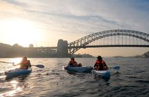 Sydney Sunrise Kayak Tour Opera House and Harbour Bridge