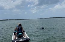 St. Pete 2-Hour Guided Jet Ski Adventure | Dolphins, Islands 