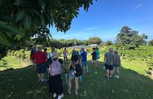 Big Island of Hawai’i South Kona Historical Day Tour