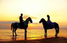 Sunset on the Beach Horseback Adventure