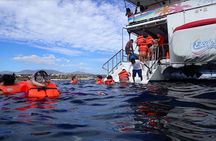 Drinks, Lunch, Snorkeling, Dancing and Transportation!