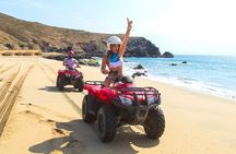 Ride through Bajas wild beauty—from desert trails to ocean views.