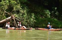 Peñas Blancas River: Wildlife Safari Experience by Kayak