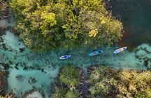 Bacalar Sunrise Paddle Board & kayaking , Breakfast & Pick Up