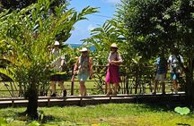 Small Group Shared Half Day Tahiti Tour Waterfalls&Scenic Coast