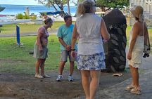 Small Group Shared Half Day Tahiti Tour Waterfalls&Scenic Coast