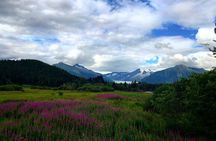 Juneau Shore Fishing and Glacier View Stop