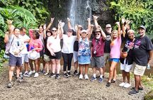 Small Group Shared Half Day Tahiti Tour Waterfalls&Scenic Coast