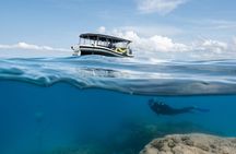 Great Barrier Reef Small Group Snorkelling Adventure