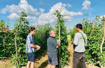 Countryside Quad Bike with Sunset Drink