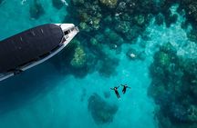 Great Barrier Reef Small Group Snorkelling Adventure