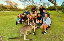 From Sydney: Jervis Bay, Kiama & South Coast Day Tour
