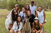 From Sydney: Jervis Bay, Kiama & South Coast Day Tour