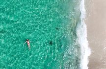 Jervis Bay Highlights Tour – Small Group Experience Scenic Coast