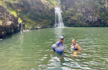 Private Road to Hana - Waterfalls, Red Sand & Hidden Gems